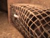 Steenbakkerij’ is ware hel voor dieren