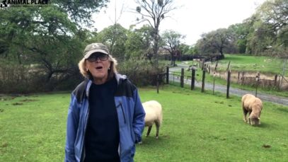 Volunteer Spotlight: Susan