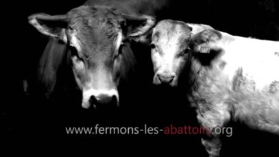 Annonce : Fermons les abattoirs (2016)