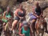 Donkeys on Santorini Abused and Used as Taxis