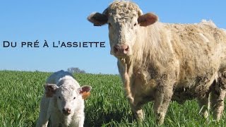 Du pré à l’assiette – la norme