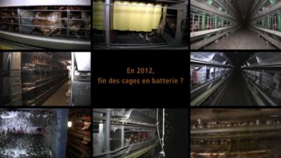 En 2012, fin des cages de batterie ?