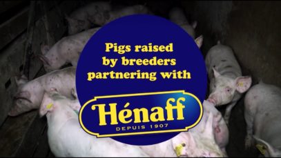 Hénaff pork pâté: suffering in a tin