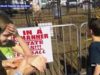 il video