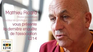 Matthieu Ricard commente une enquête de L214 sur l’élevage de lapins