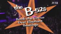 The B52s Know Circuses Are No ‘Love Shack’ for Elephants