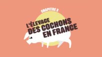 L214 EDUCATION / L'élevage des cochons en France