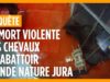 La mort violente des chevaux à l’abattoir Viande Nature Jura