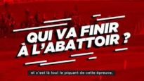 Qui va finir à l’abattoir ?