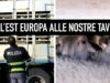 Dall’Est Europa alle tavole degli Italiani: il trasporto illegale degli agnelli