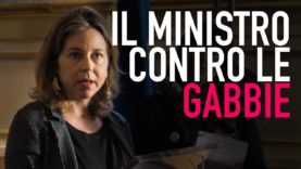 Il discorso del Ministro della Salute Giulia Grillo per abolire le gabbie
