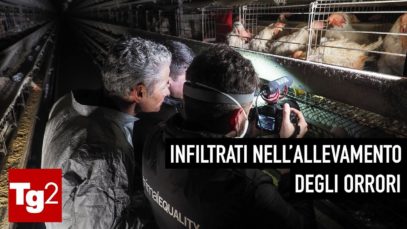 NUOVA INCHIESTA IN COLLABORAZIONE CON IL TG2 – Una vita in gabbia