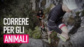 Run4Animals – La maratona che difende gli animali