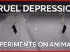 Cruel Depression Experiments on Animals