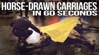 Horse-Drawn Carriages in 60 Seconds Flat