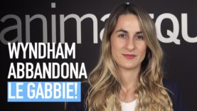 Wyndham abbandona le gabbie!