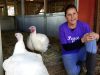 Animal Place – Sanctuary for Farmed Animals