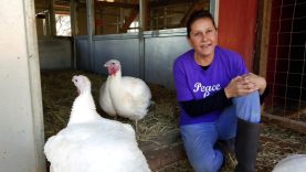 Animal Place - Sanctuary for Farmed Animals