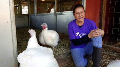 Animal Place – Sanctuary for Farmed Animals