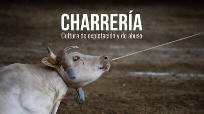 Charrería. Cultura de explotación y de abuso.