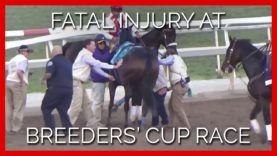 Exclusive Video: Fatal Injury of Mongolian Groom at Breeders’ Cup Race