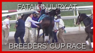 Exclusive Video: Fatal Injury of Mongolian Groom at Breeders’ Cup Race