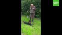Jagers gebruiken levende duif om hond af te richten