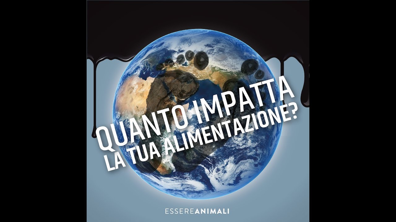 Scopri l'impatto ambientale della tua alimentazione! | Laverabestia.org