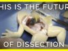 THIS is the Future of Dissection