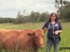 Timid to Trusting: Daffodil the Blind Cow
