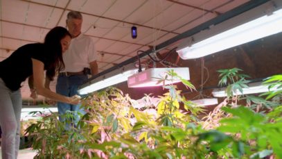 Transfarmation- This Farmer Traded In Chickens for Hemp