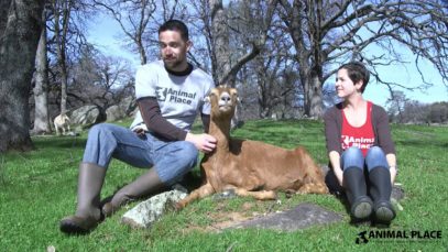 Volunteer Spotlight: Rachel and Michael