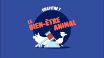 L214 EDUCATION  /  Le bien-être animal