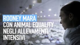 WITH MY OWN EYES: Rooney Mara per Animal Equality
