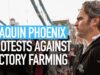 Joaquin Phoenix protests against factory farming