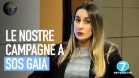 Le campagne di Animal Equality su SOS Gaia