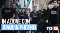 TG5: Joaquin Phoenix con Animal Equality a Londra contro gli allevamenti