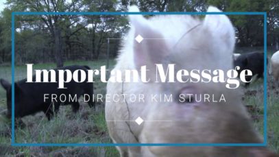 From the Director: An Update
