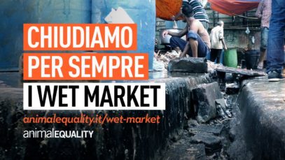 Chiudiamo per sempre i wet market