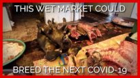 This Wet Market Could Breed the Next Covid-19