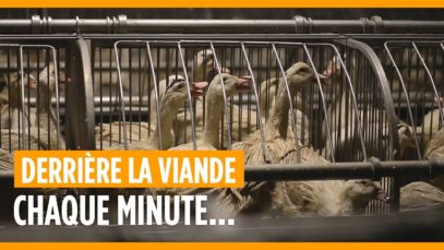 Chaque minute…