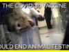 Why COVID-19 Could Be a Turning Point for Animals Used in Experiments