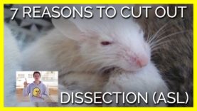 7 Reasons to Cut Out Dissection (ASL)