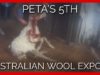 BREAKING: PETA’s 5th Australian Wool Exposé—Does It Look Like the Industry Has Changed One Bit?