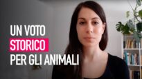 Voto storico sul trasporto di animali!