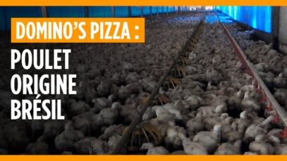 Enquête : Domino’s Pizza, poulet origine Brésil