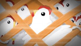 The Life of Chickens Raised For Meat