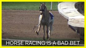 Drugs, Breakdowns, Death: Horse Racing Is a Bad Bet