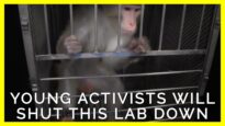 Meet the Young Activists Determined to End Testing on Animals