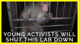 Meet the Young Activists Determined to End Testing on Animals